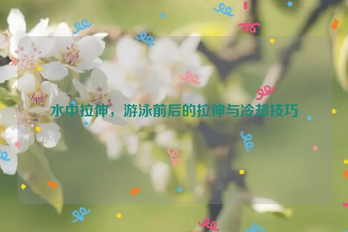 水中拉伸，游泳前后的拉伸与冷却技巧